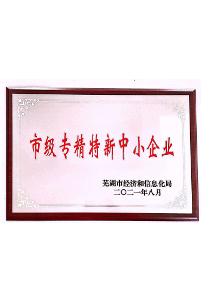 市級專精特新中小企業