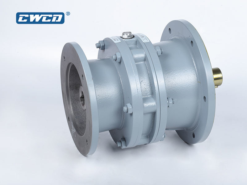 Vertical cycloid reducer