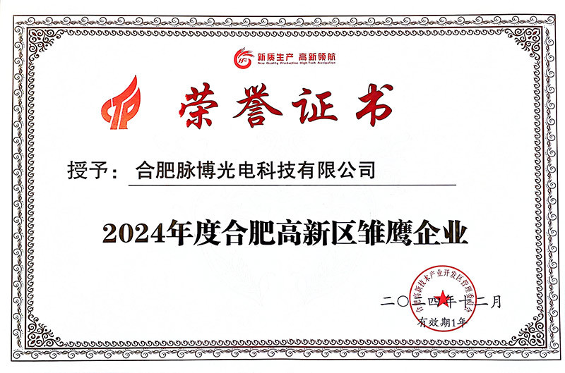 A Little Eagle Enterprise of Hefei High-tech Zone of the Year 2024 A Little Eagle Enterprise of Hefei High-tech Zone of the Year 2024