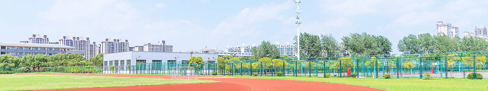 青鸟智源