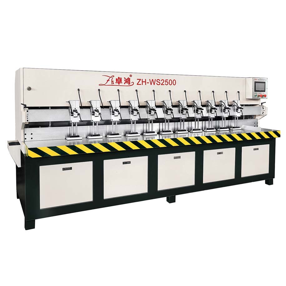 ZH-WS2500 