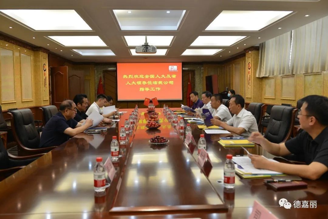 Warmly welcome the representatives of the National People's Congress to our company for research!
