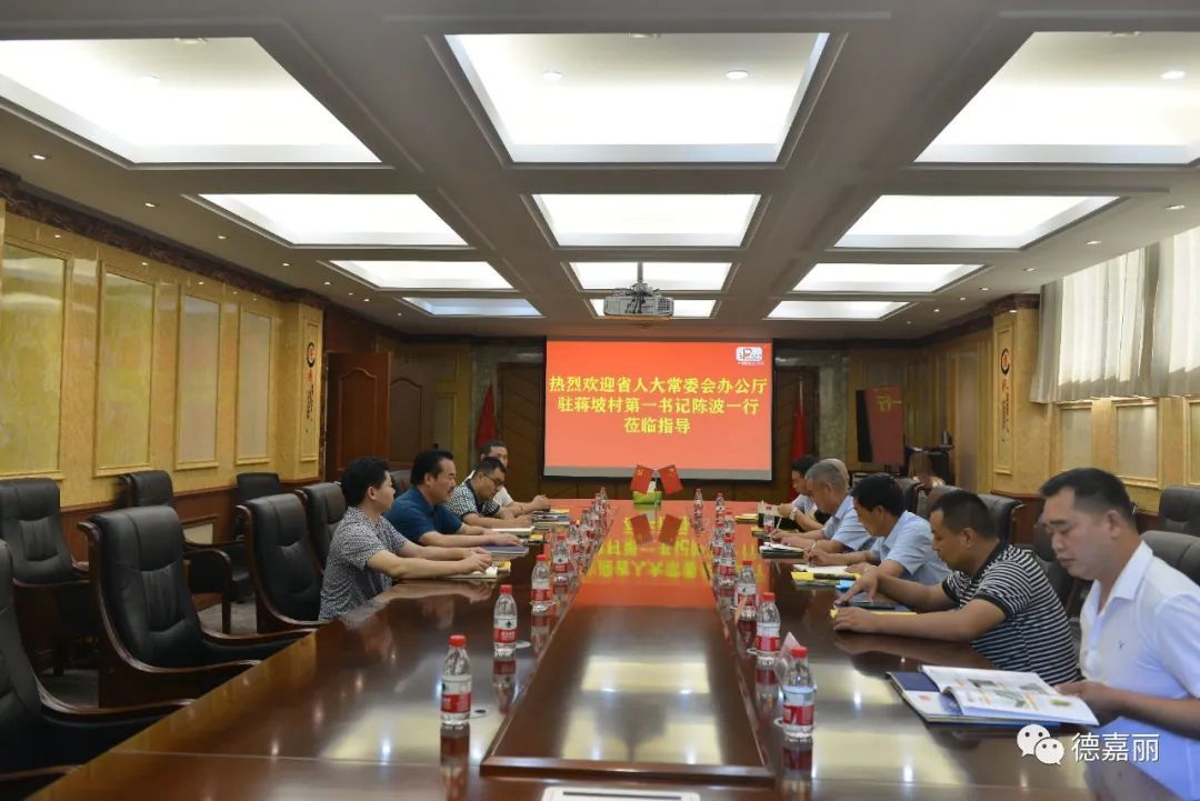 Dejiali "Dream Brand" Supports Rural Revitalization - Dejiali Group Collaborates with Jiangpo Village to Create "China's First Dream Village" Symposium