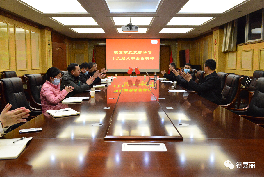 The Party Branch of Dejiali Group held a meeting to study the spirit of the Sixth Plenary Session of the 19th Central Committee.