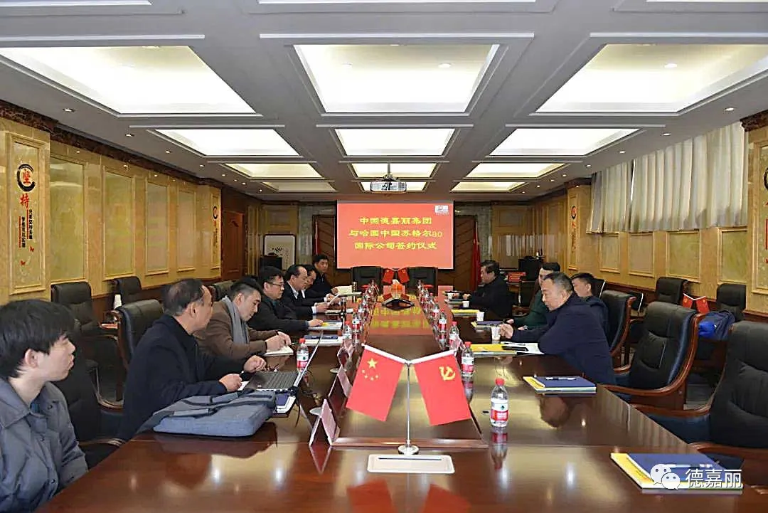 Stepping Out of the Country: Leapfrog Development - A Record of Cooperation Between Henan Dejiali Technology Group and Kazakhstan's China Sugeer AO International Company