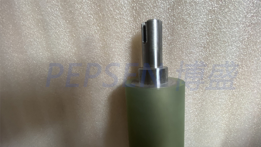 PEPSEN
