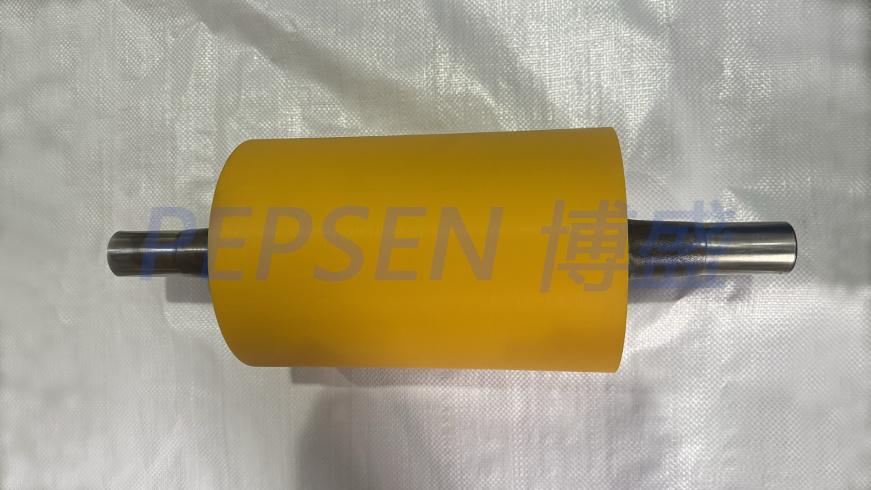 PEPSEN