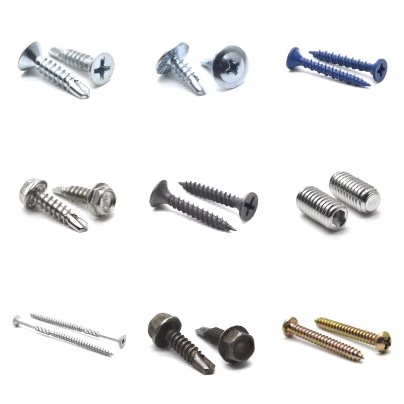Phillips Head Stainless Steel Self-Tapping Screws DIN Standard Fasteners