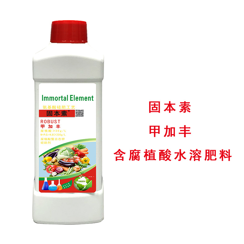 固本素  甲加豐