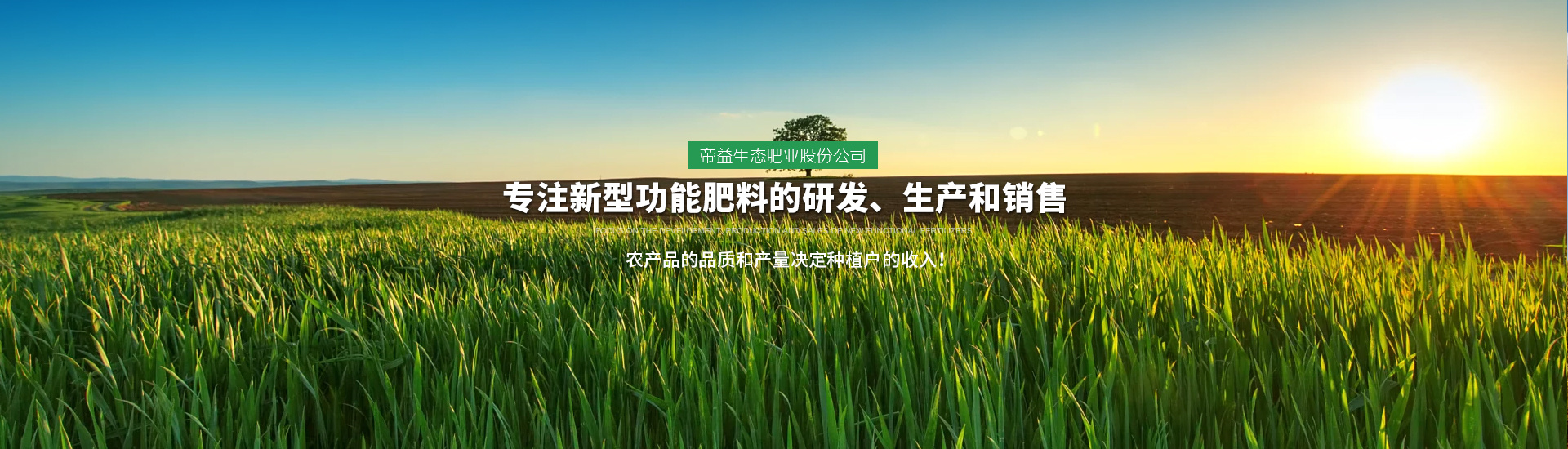 帝益肥