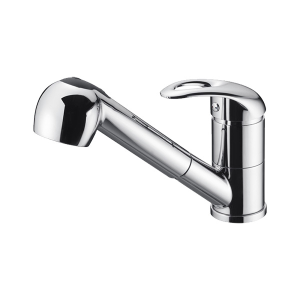 Kitchen faucet with sprayer