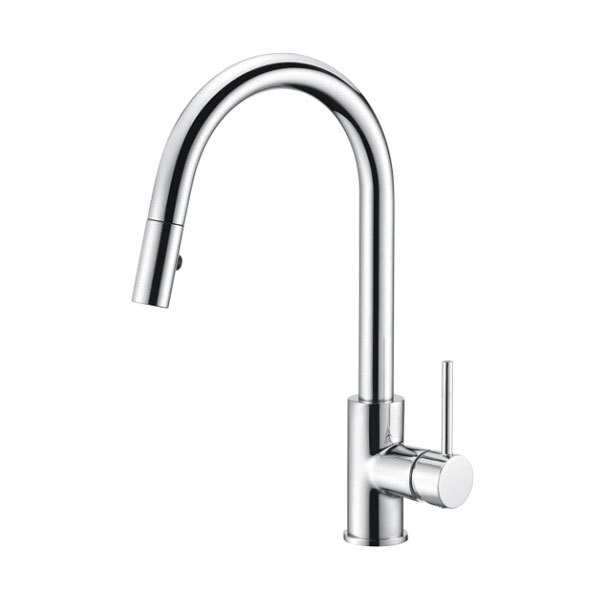 Single Handle Pull-Down Kitchen Faucet With Spray