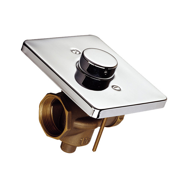 Brass Flush Valve