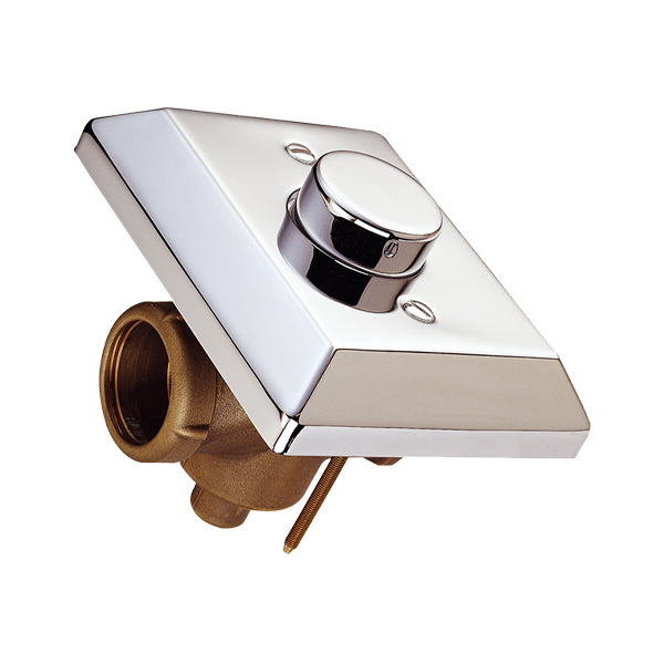 Brass Flush Valve
