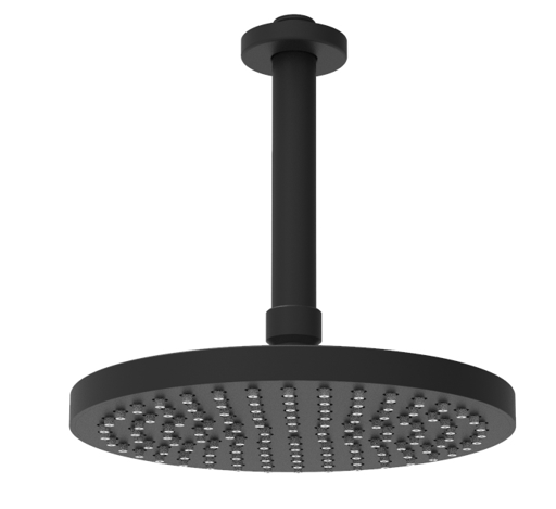 Shower Head JX413R