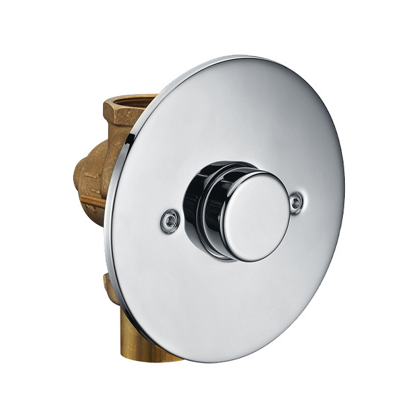Brass Flush Valve