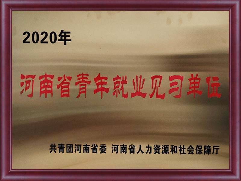河南省青年就业见习单位