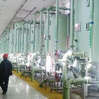 Ion exchanger