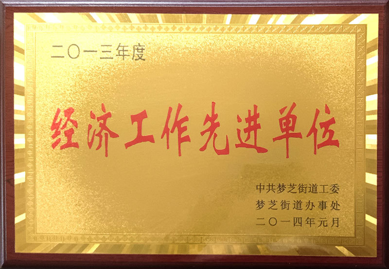 经济工作先进单位 经济工作先进单位