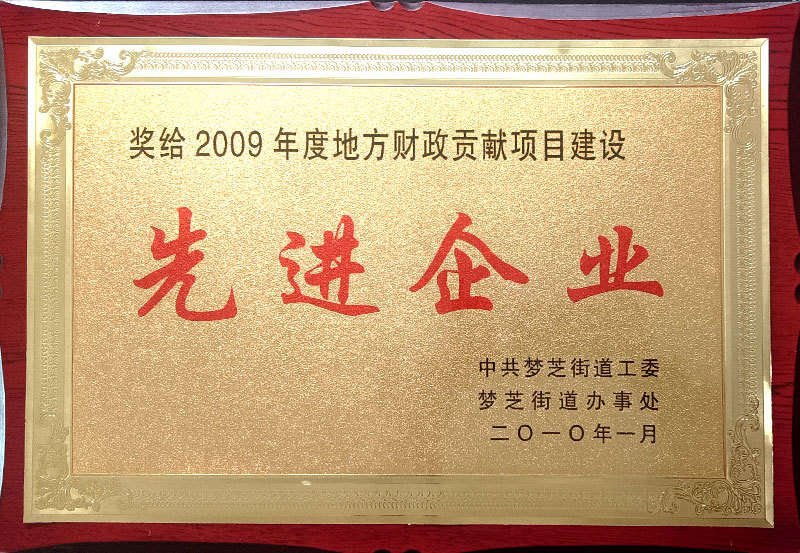 2009年度 先进单位 2009年度 先进单位