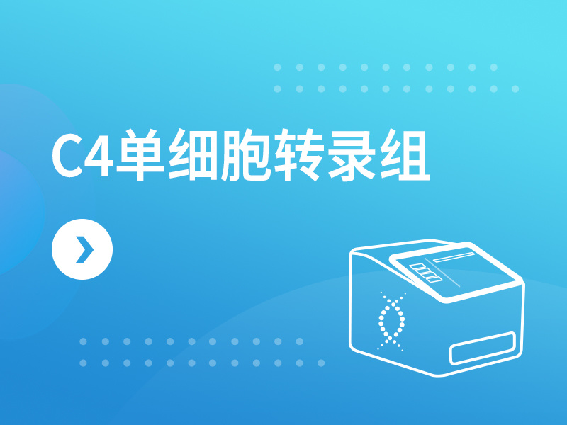 C4单细胞转录组
