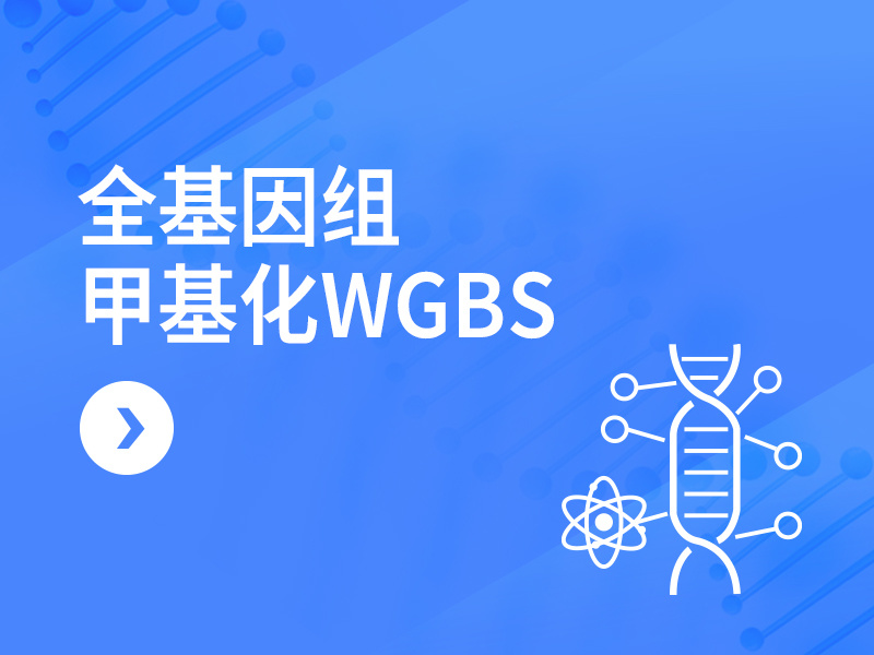 全基因组甲基化WGBS