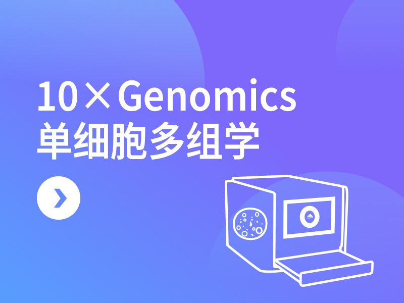 10×Genomics单细胞多组学