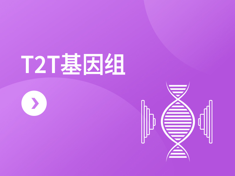 T2T基因组