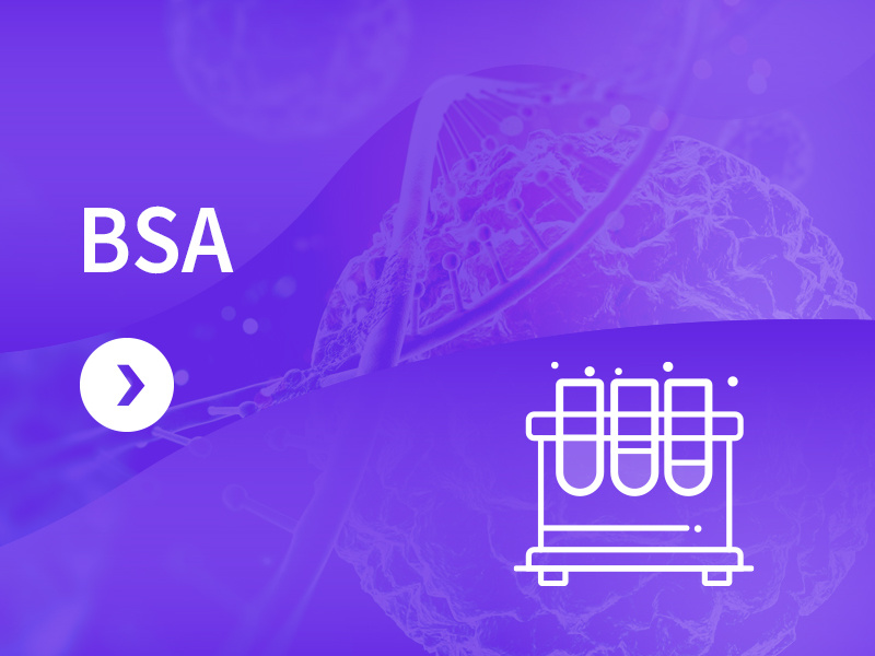BSA