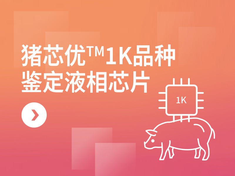 猪芯优TM1K品种鉴定液相芯片