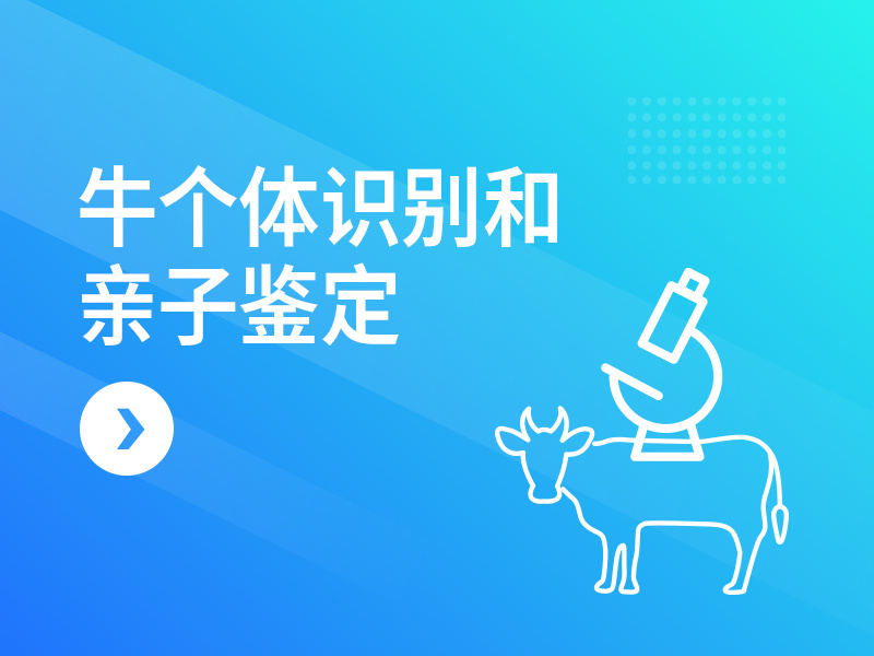牛个体识别和亲子鉴定