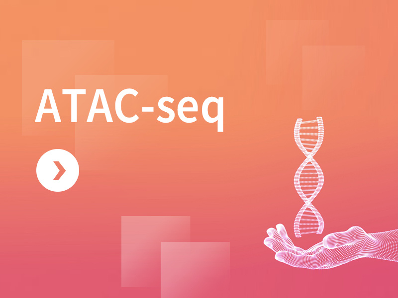 ATAC-seq