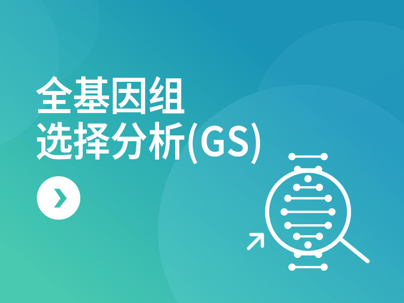 全基因组选择分析（GS）