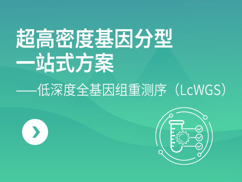 超高密度基因分型一站式方案：低深度全基因组重测序（LcWGS）