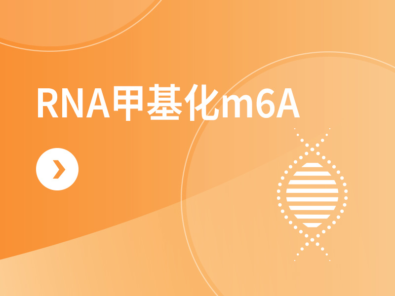 RNA甲基化m6A