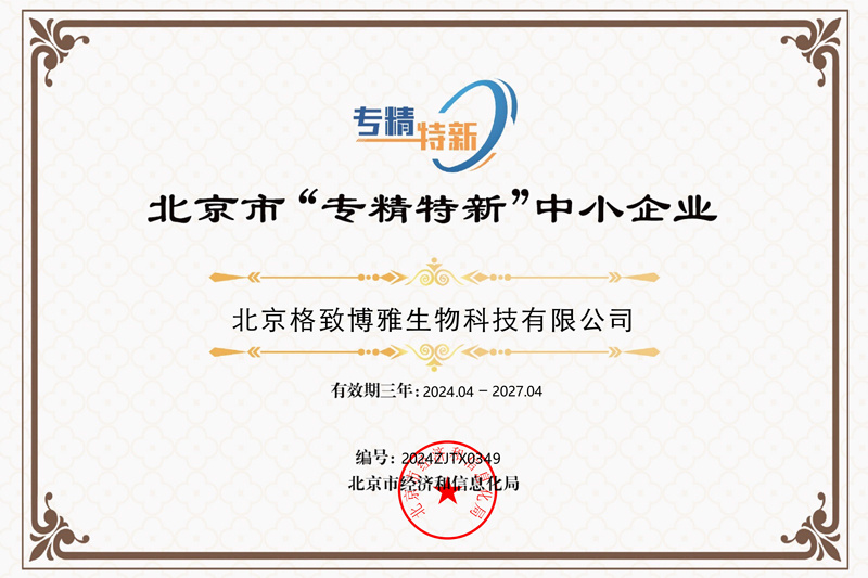 北京市“专精特新”中小企业证书 北京市“专精特新”中小企业证书