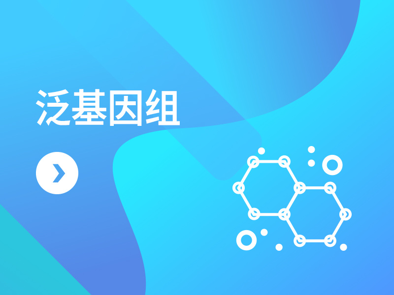 泛基因组