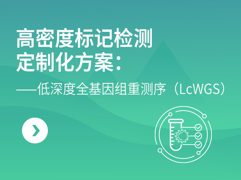 高密度标记检测定制化方案：低深度全基因组重测序（LcWGS）
