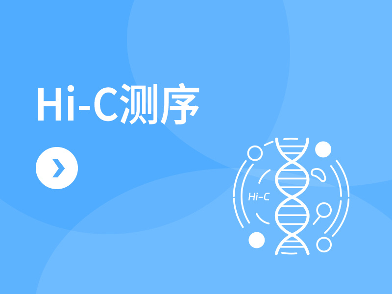 Hi-C测序