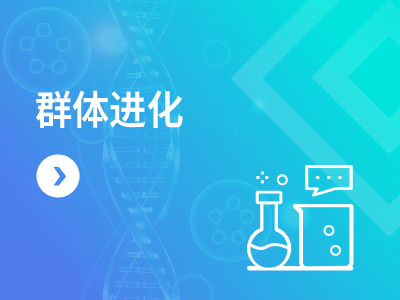 群体进化