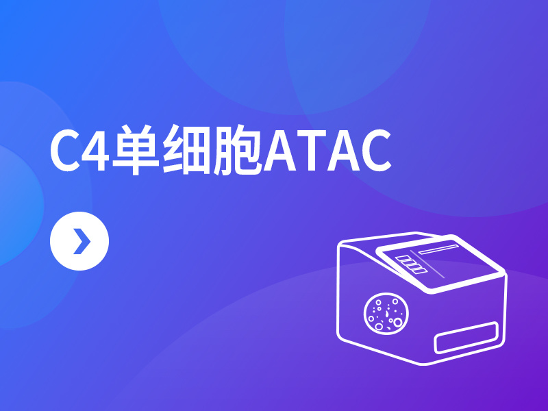 C4单细胞ATAC