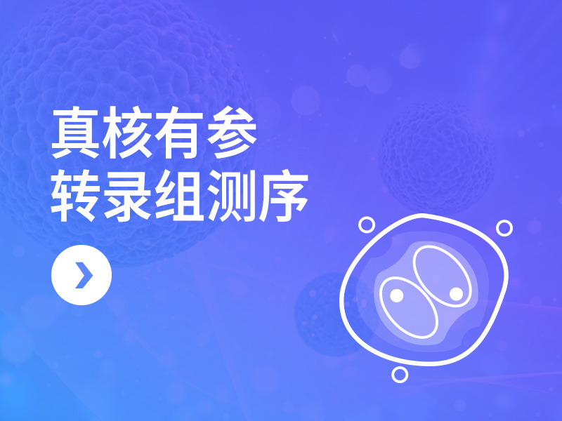 真核有参转录组测序
