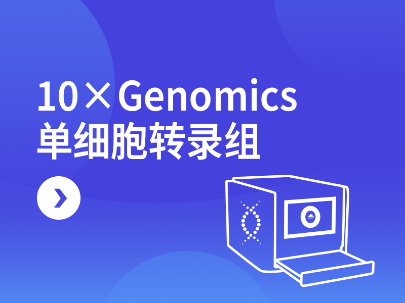 10×Genomics单细胞转录组