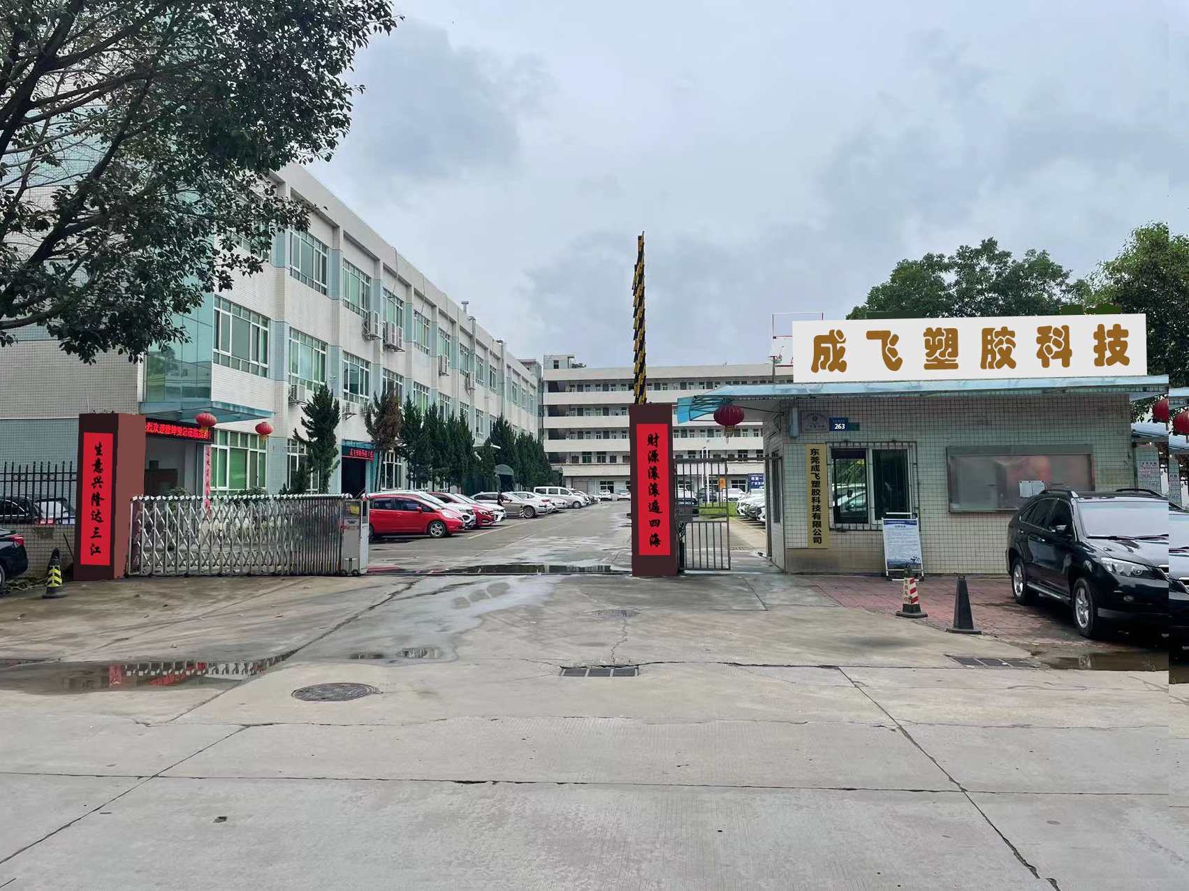 视频标题