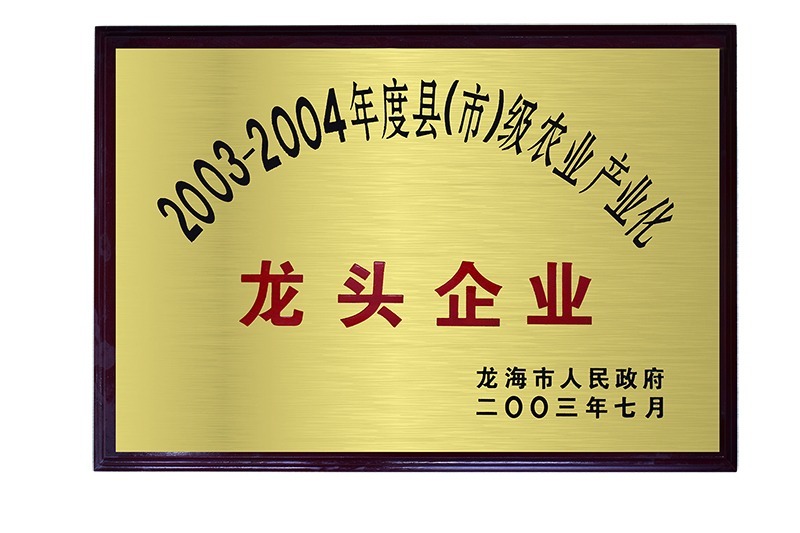 龙头企业