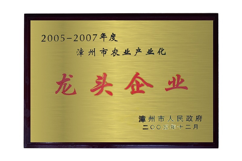 龙头企业