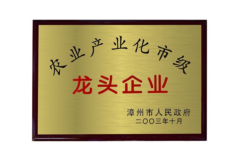龙头企业