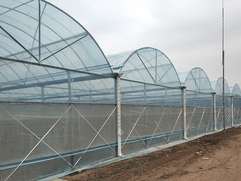 Prefab Greenhouse For Vegetables