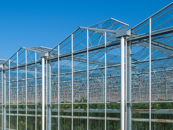 Glass Greenhouse Series