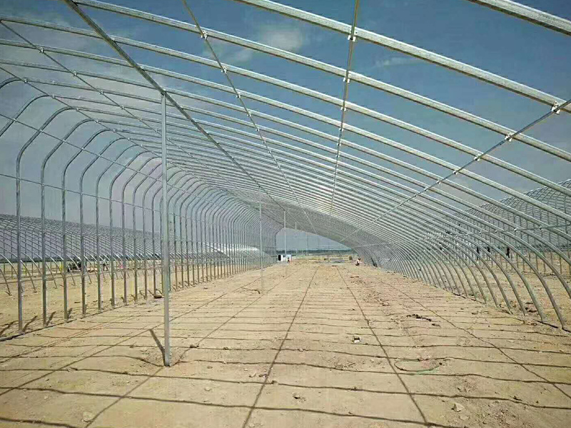 Oval pipe greenhouse